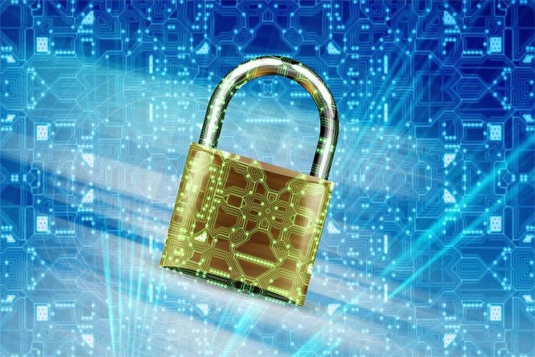 seguridad2